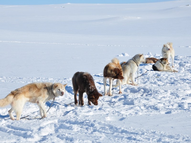 Fly me to the&nbsp;moon