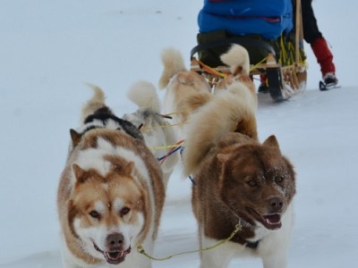 Da er vi på&nbsp;nett!