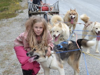 Når begynner hundene å&nbsp;trekke?