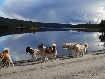 Treningen er i&nbsp;gang!