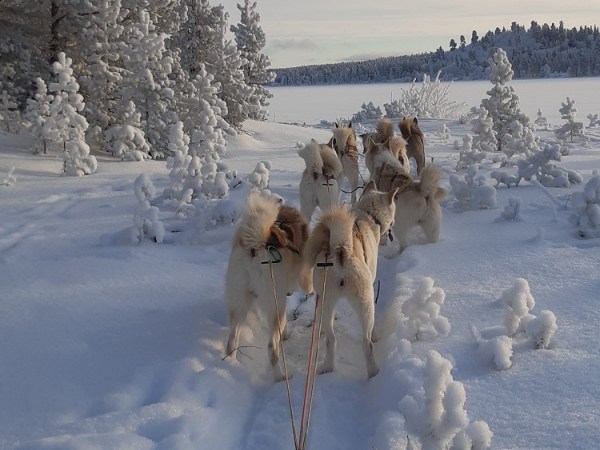 Bare -20°C i&nbsp;dag?!?