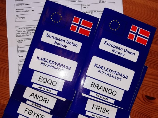 Blir det Svalbard-tur?