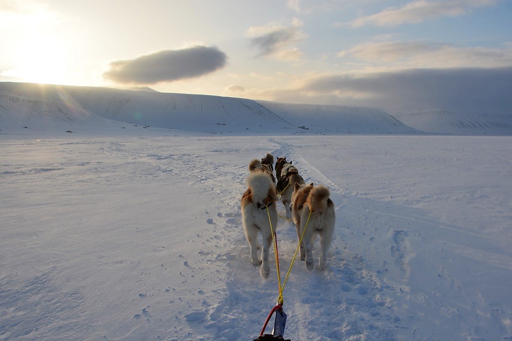 Vestkysten eller døden!