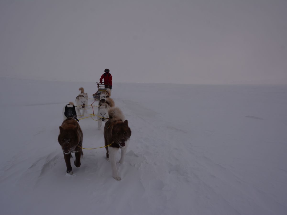 Når veien er&nbsp;målet