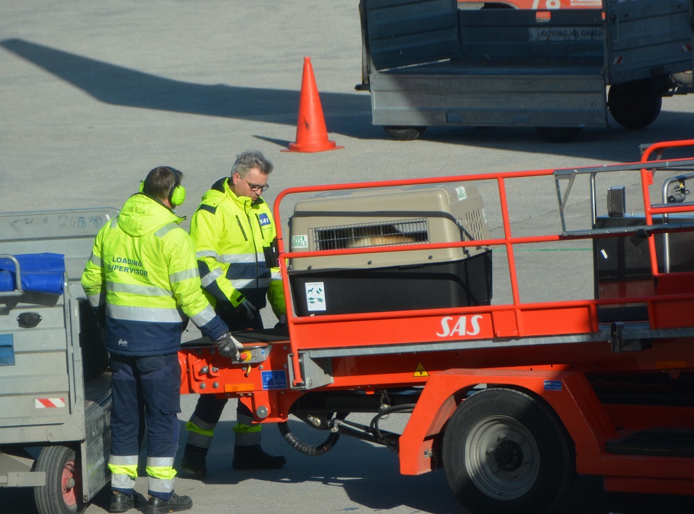 Branoq og Frisk på&nbsp;vei