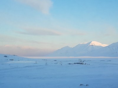 Første hunder på&nbsp;plass