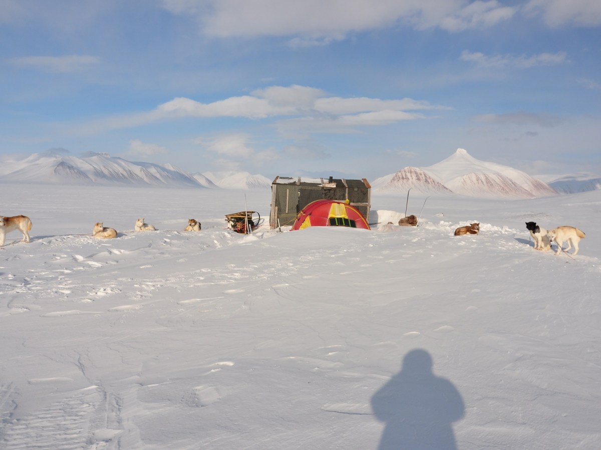 Ufrivillige hviledager