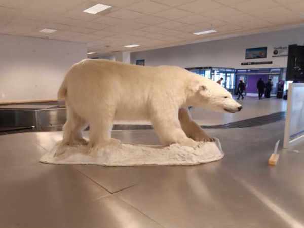 Endelig(?) hjemme igjen