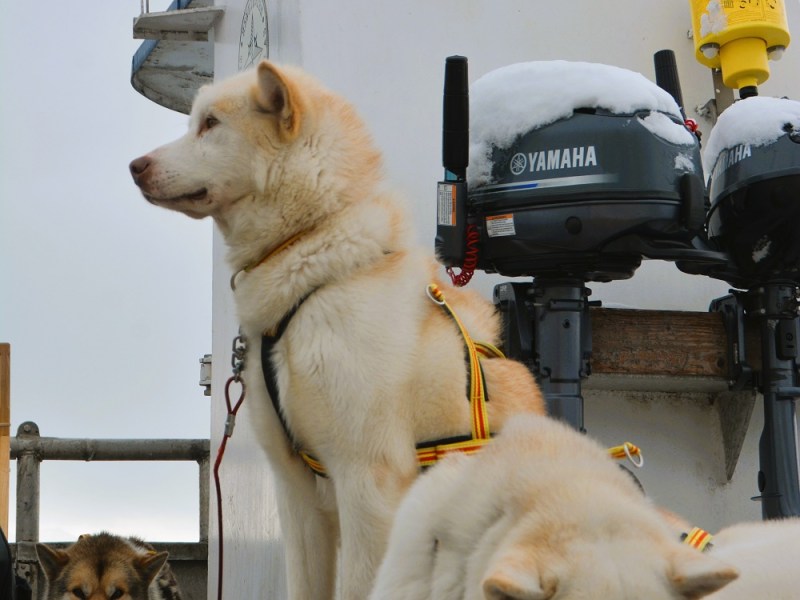 Att og fram er like&nbsp;langt