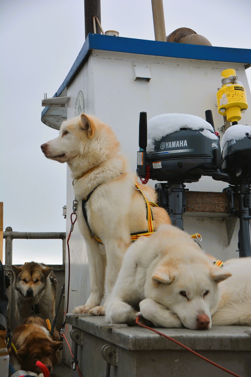 Att og fram er like langt