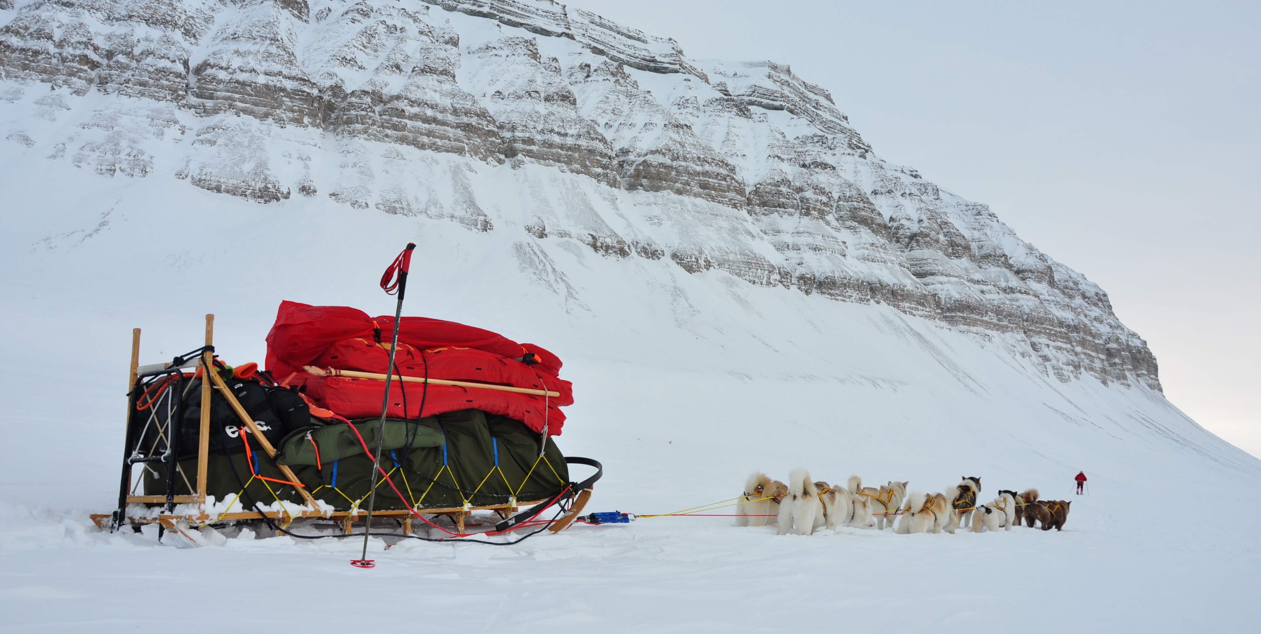 Grønlandshunder i tunge snøforhold i Ekmanfjorden, Svalbard