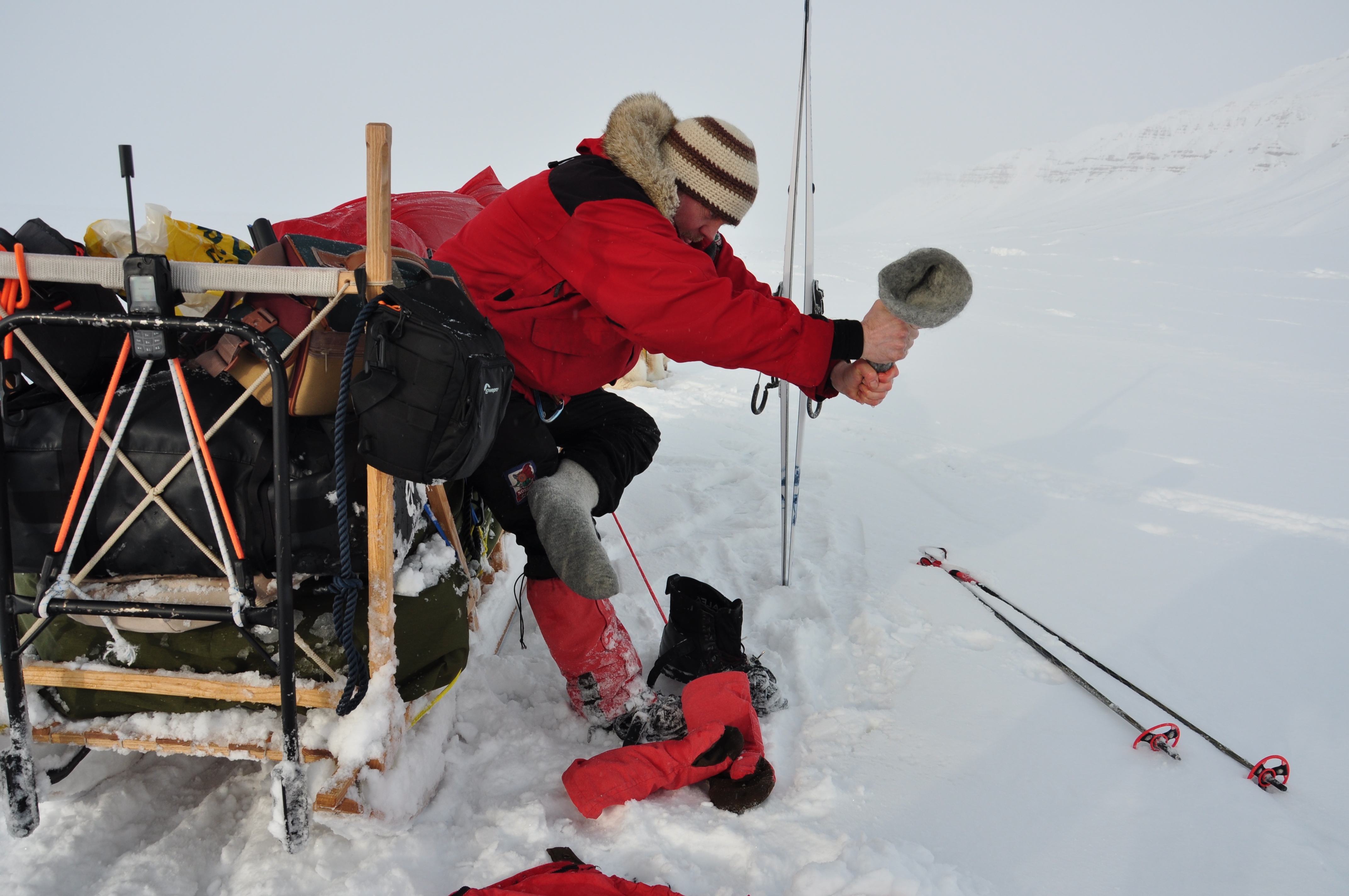 Våte sokker i Dicksonfjorden, Svalbard