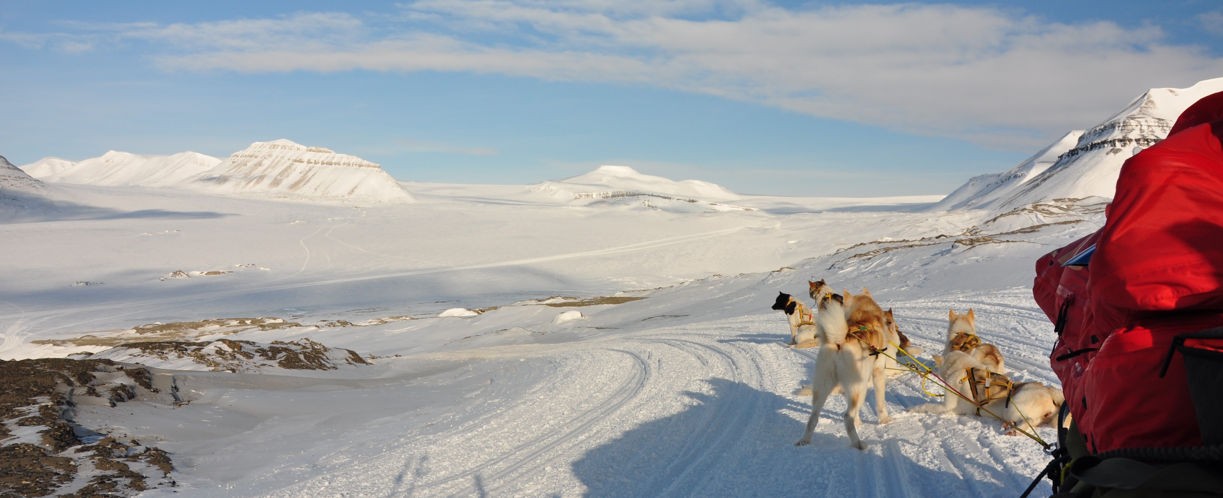 Grønlandshunder på vei mot Rabotbreen, Svalbard
