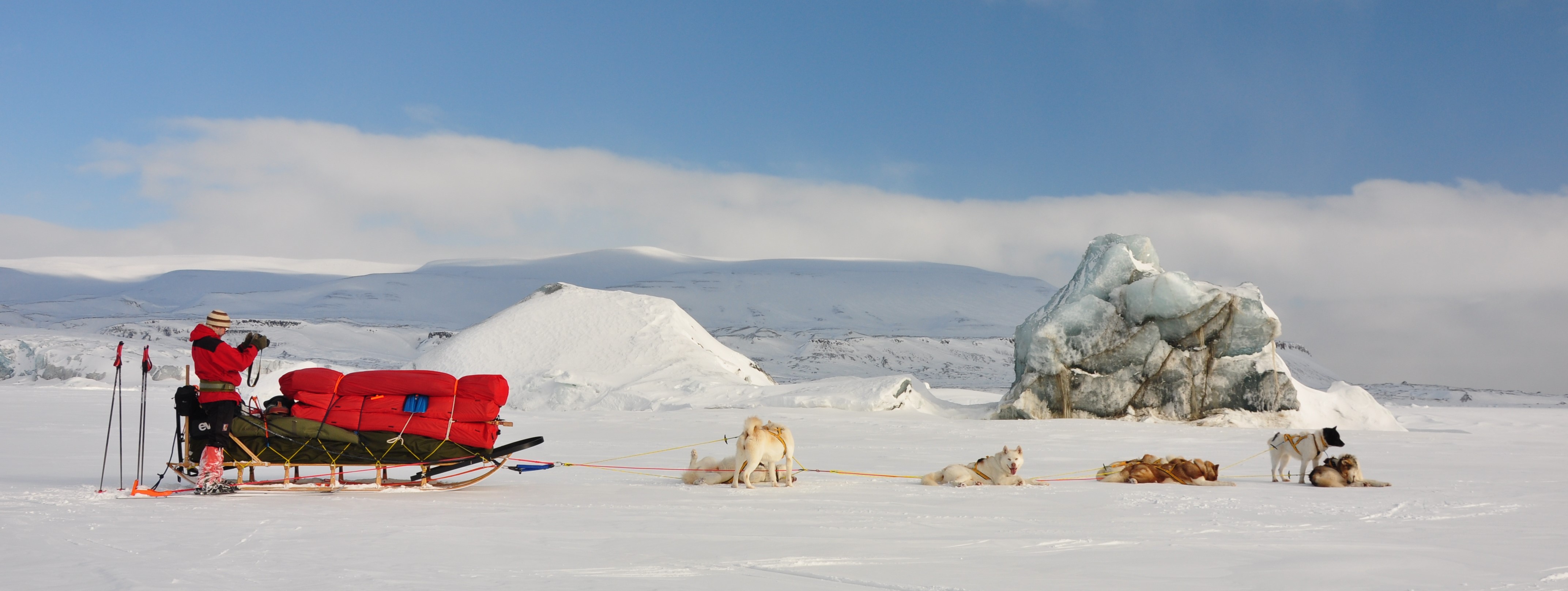 Grønlandshunder foran isfjell, Mohnbukta, Svalbard