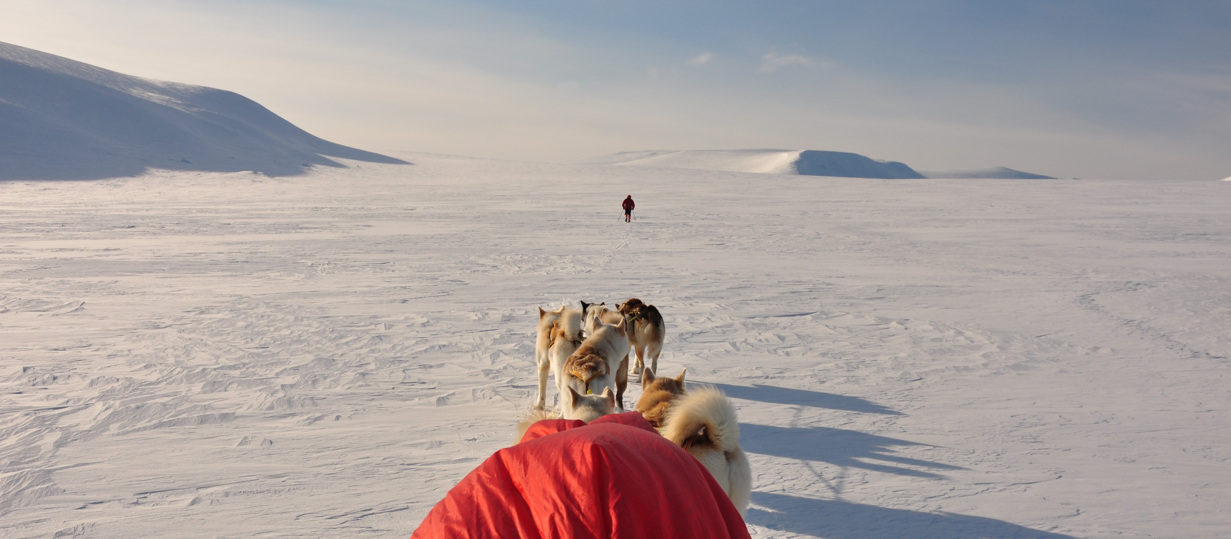Grønlandshunder på vei opp Usherbren, Svalbard