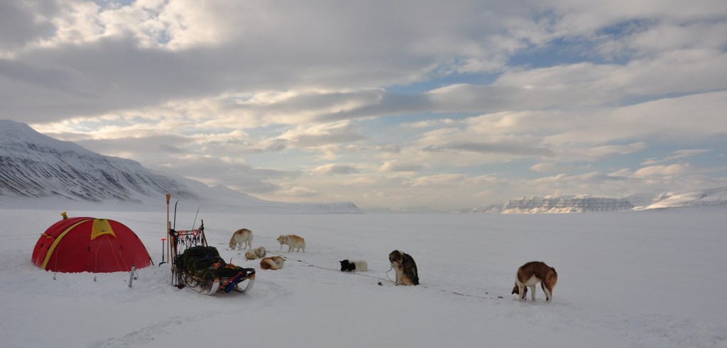 Leirplass i Sassendalen, Svalbard